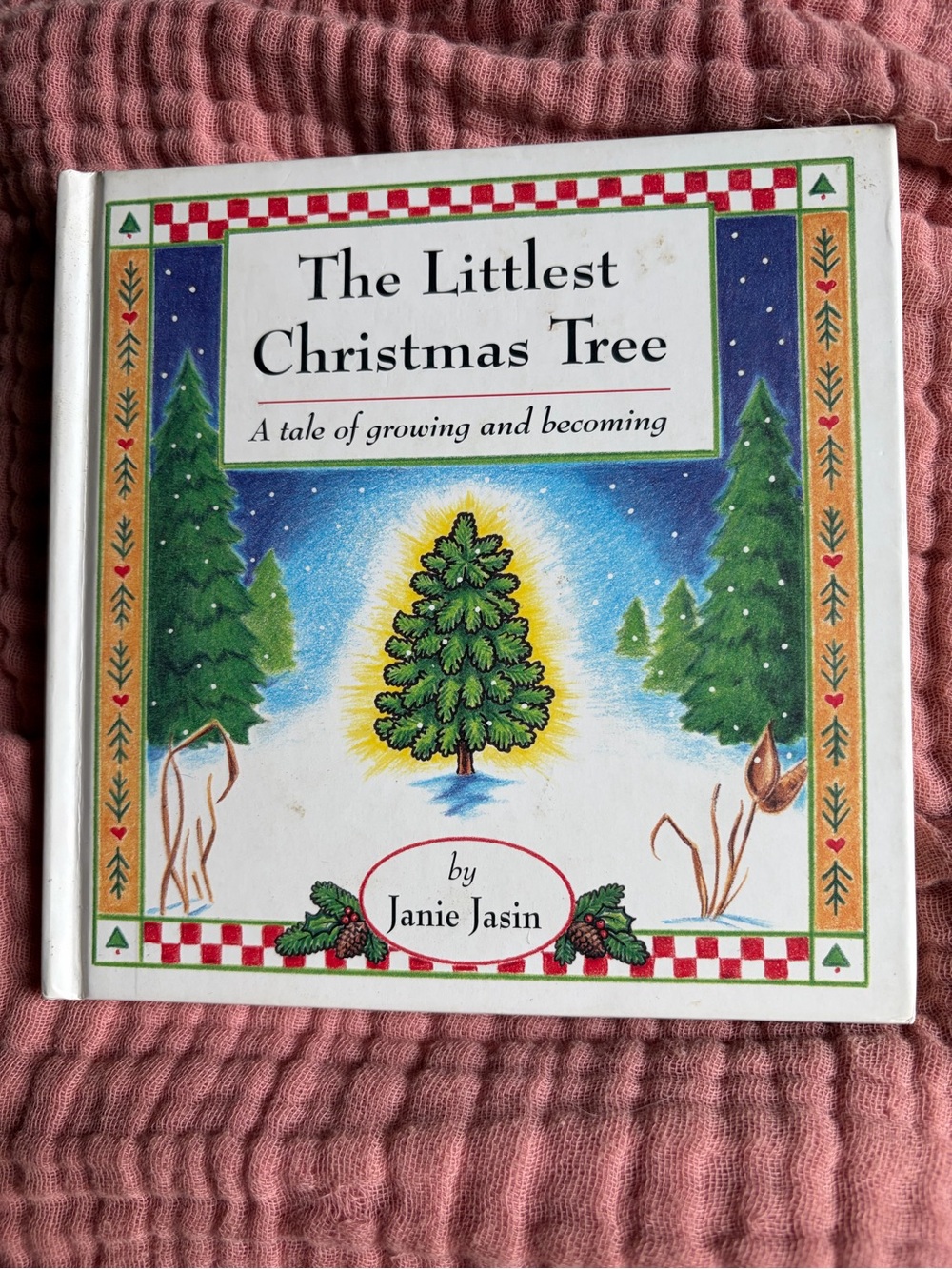Christmas book.  The Littlest Christmas Tree.